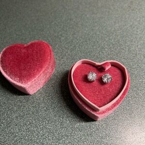 Elegant Silver Stud Earrings